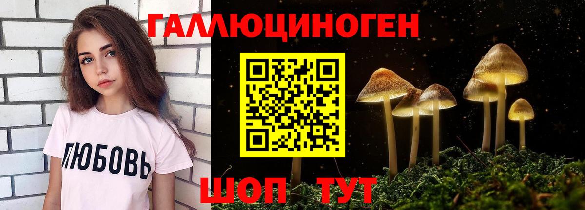 Галлюциногенные грибы Magic Shrooms Бердск